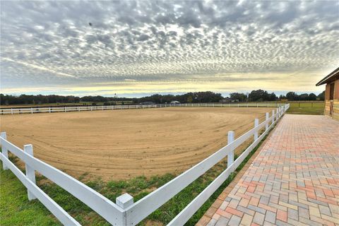 Tiny photo for 20462 SW 36th Street, Dunnellon, FL 34431 (MLS # OM715927)