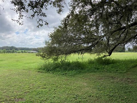 Tiny photo for 20462 SW 36th Street, Dunnellon, FL 34431 (MLS # OM715927)