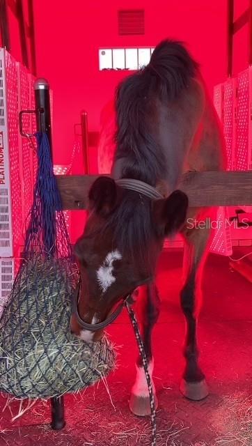 ACREAGE NON SUBDIVISION - Residential