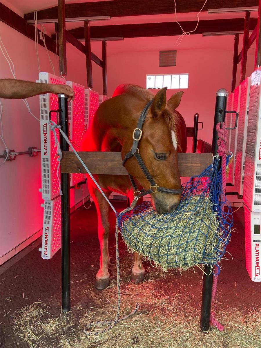 20462 SW 36TH STREET