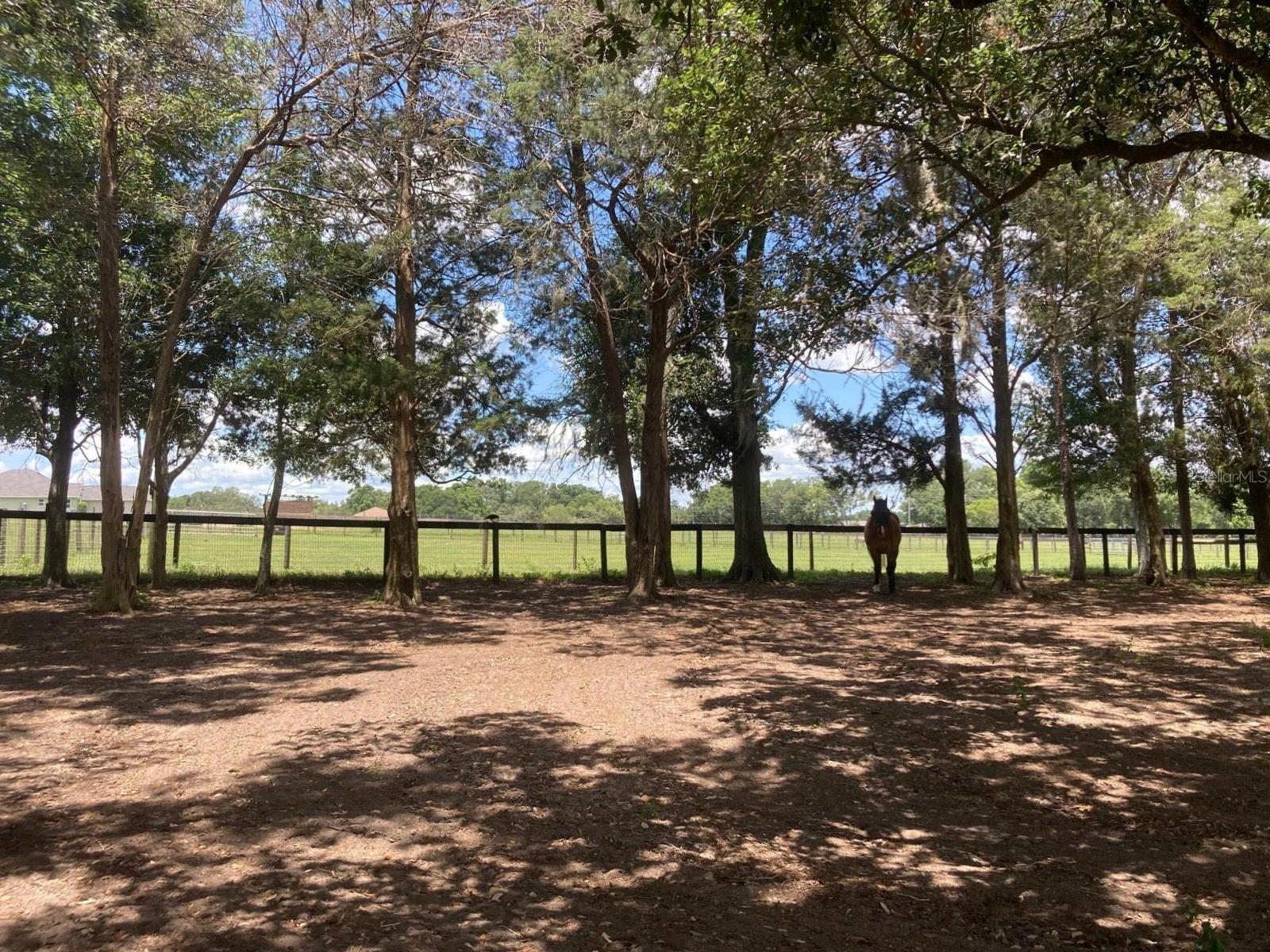 ACREAGE NON SUBDIVISION - Residential