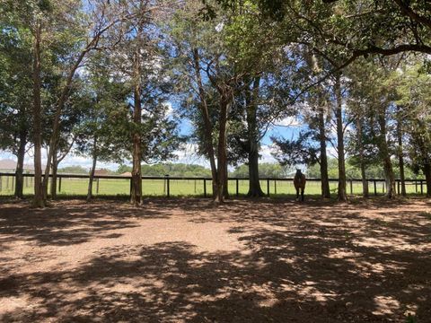 Tiny photo for 20462 SW 36th Street, Dunnellon, FL 34431 (MLS # OM715927)