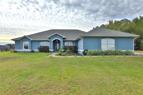 Tiny photo for 20462 SW 36th Street, Dunnellon, FL 34431 (MLS # OM715927)