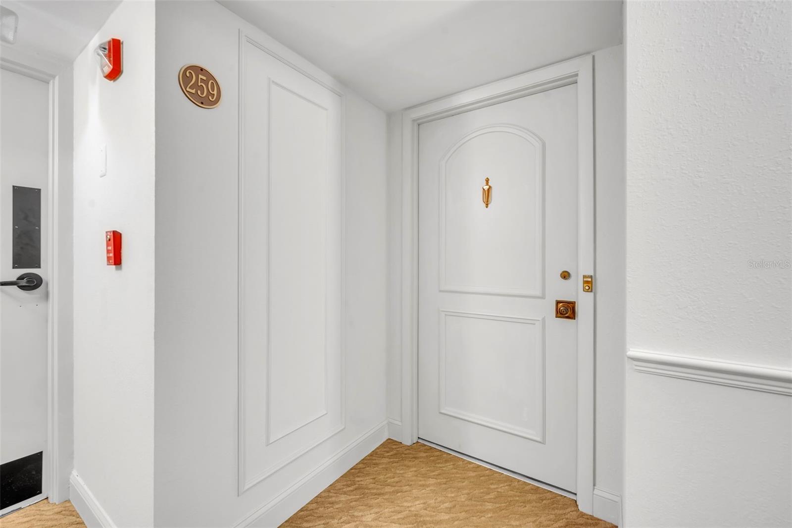 259 E CANTON AVENUE 259