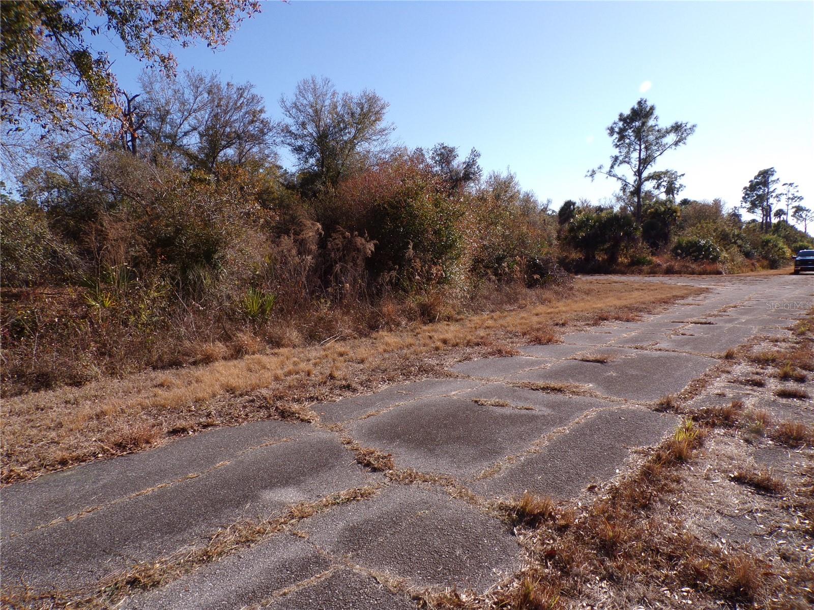 PORT CHARLOTTE SUB 45 - Land