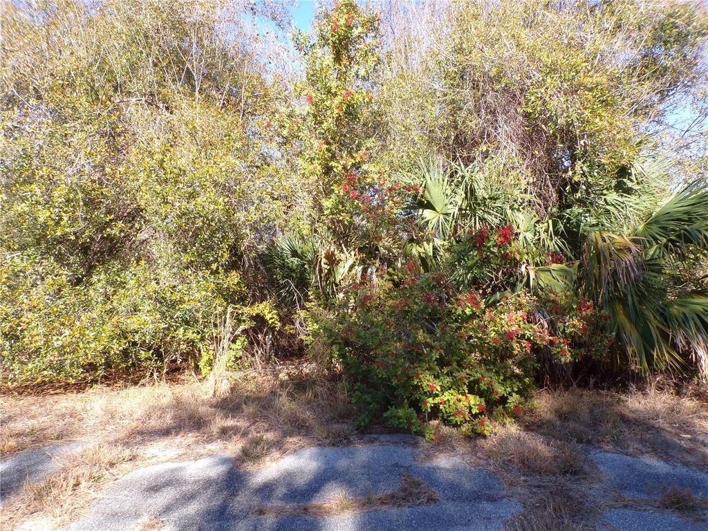 Photo of Hastings Street, North Port, FL 34288 (MLS # C7521977)