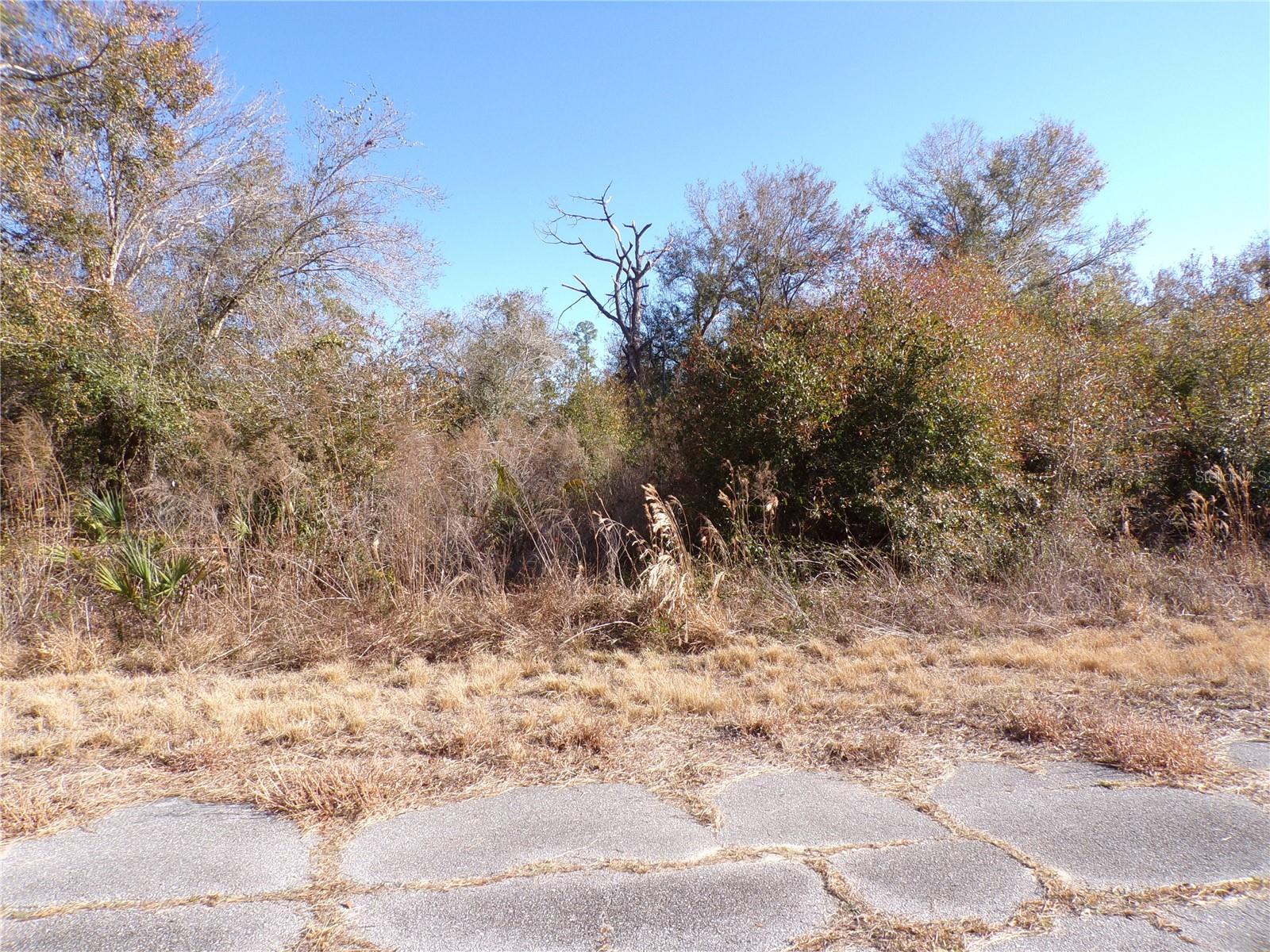 PORT CHARLOTTE SUB 45 - Land