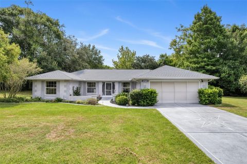 Photo of 12061 Glen Haven Street, Spring Hill, FL 34609 (MLS # W7879148)