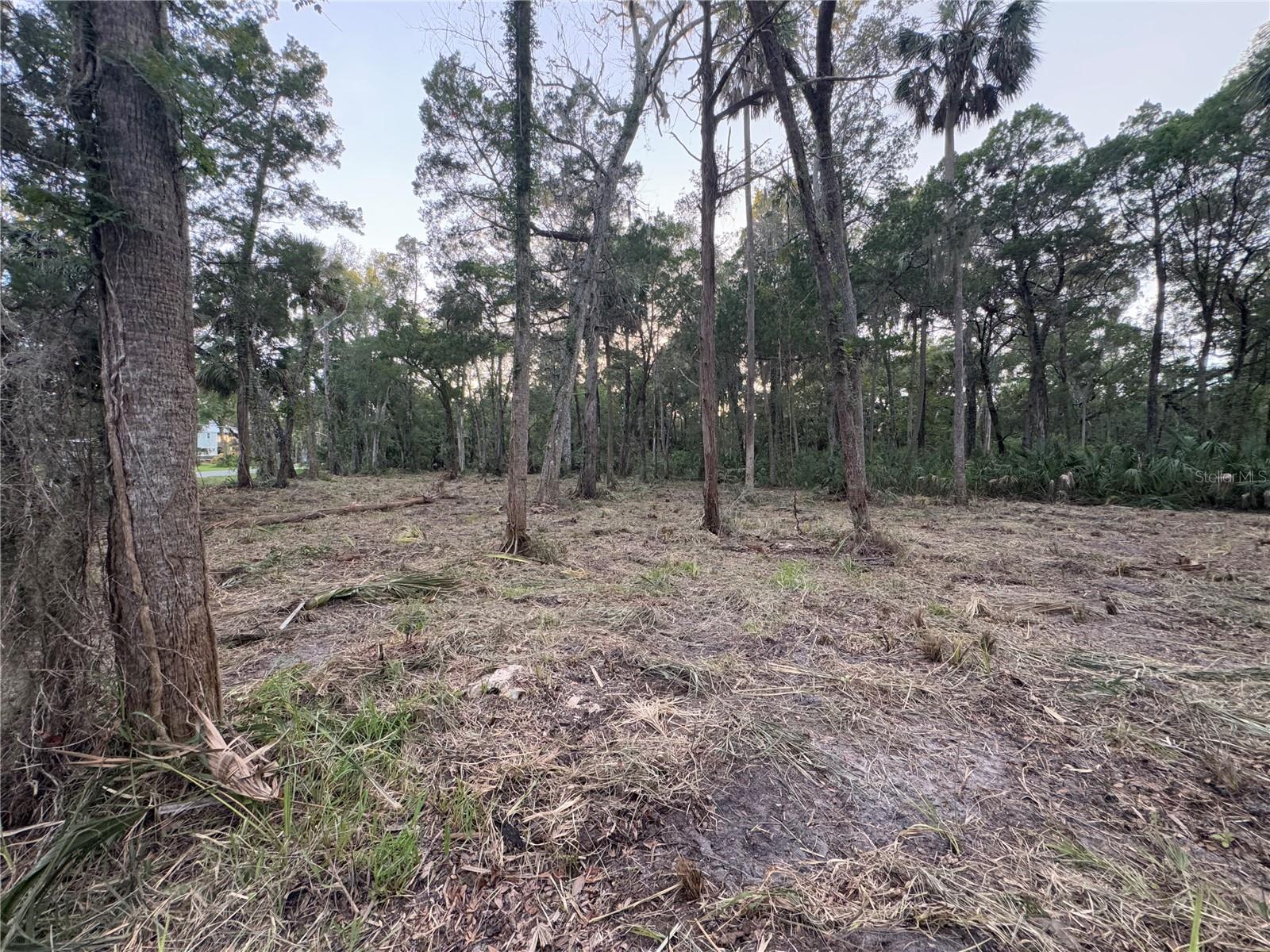 HOMOSASSA COMPANYS SUB 7 - Land