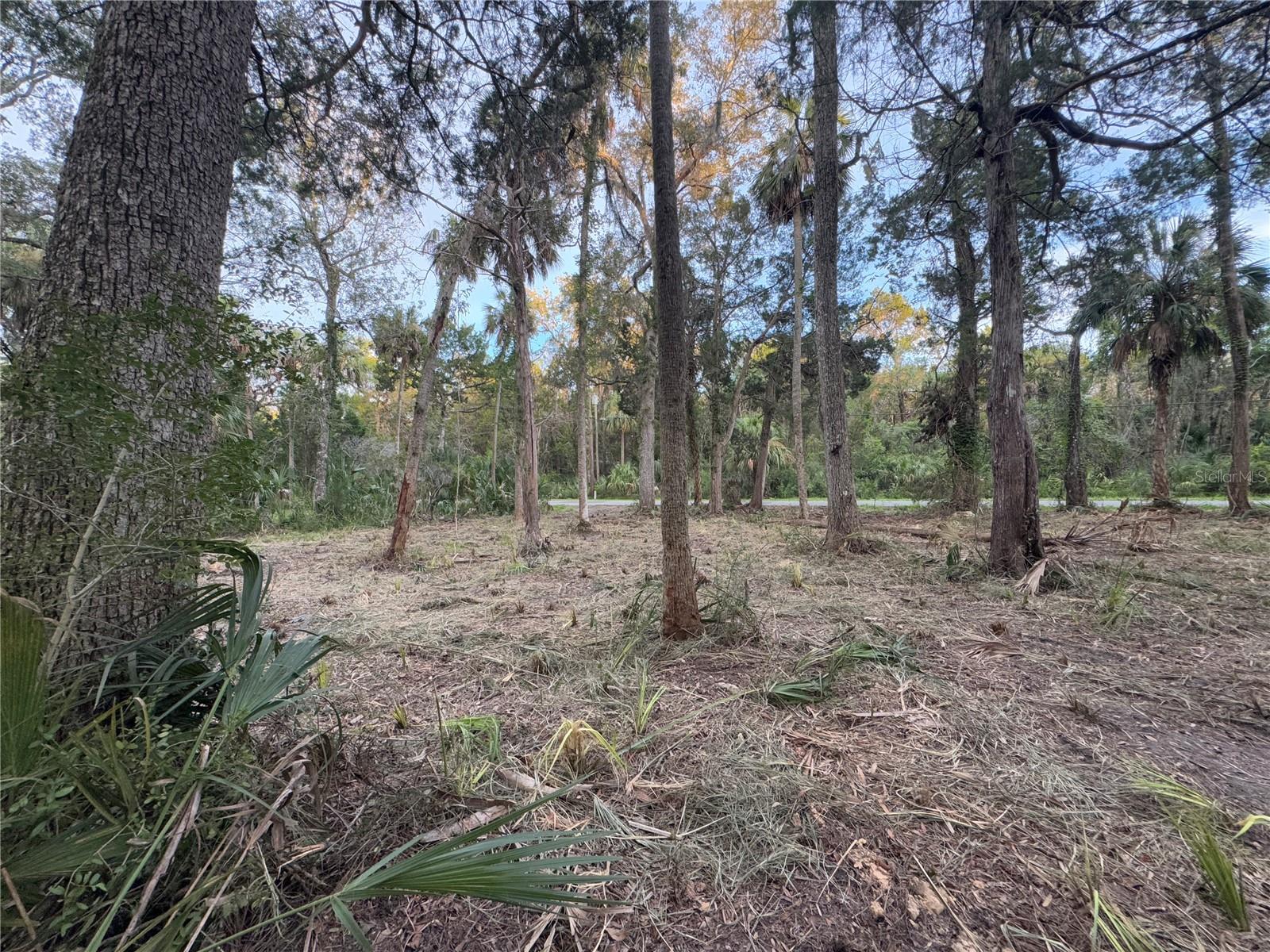 HOMOSASSA COMPANYS SUB 7 - Land