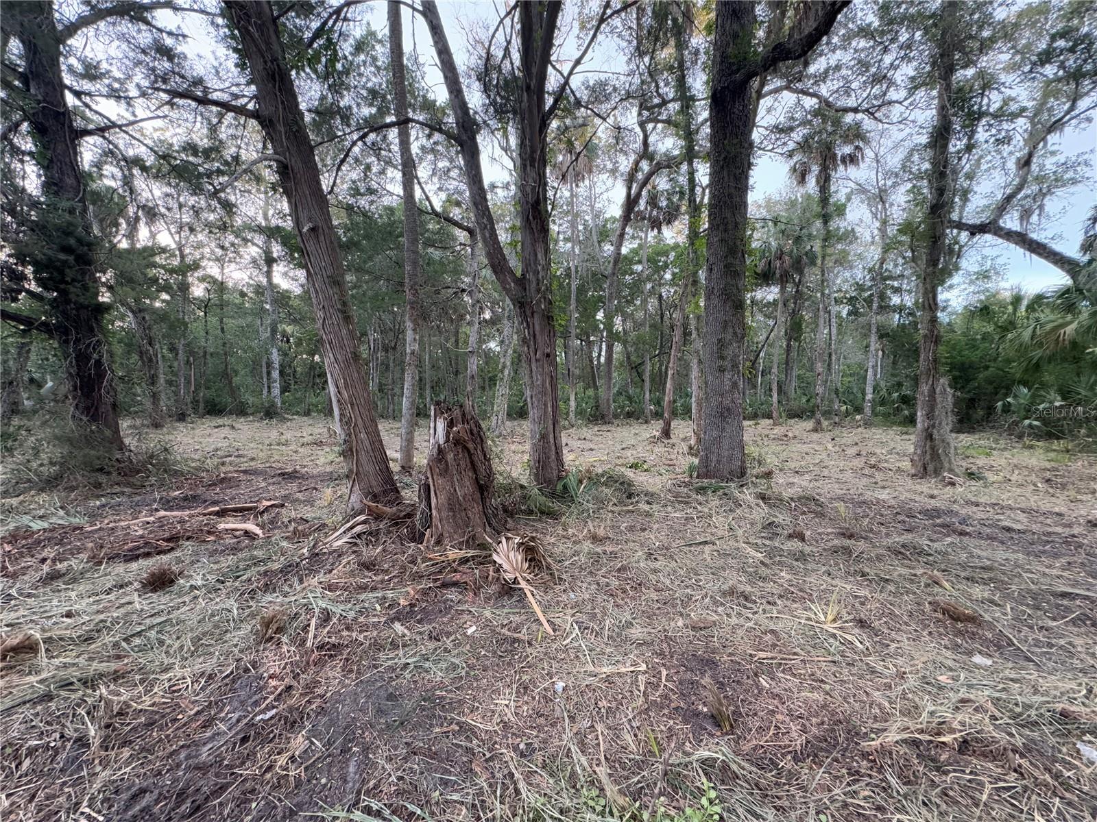 HOMOSASSA COMPANYS SUB 7 - Land