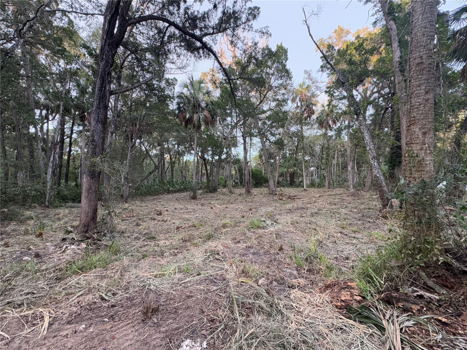 HOMOSASSA COMPANYS SUB 7 - Land