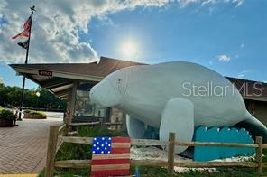 HOMOSASSA COMPANYS SUB 7 - Land