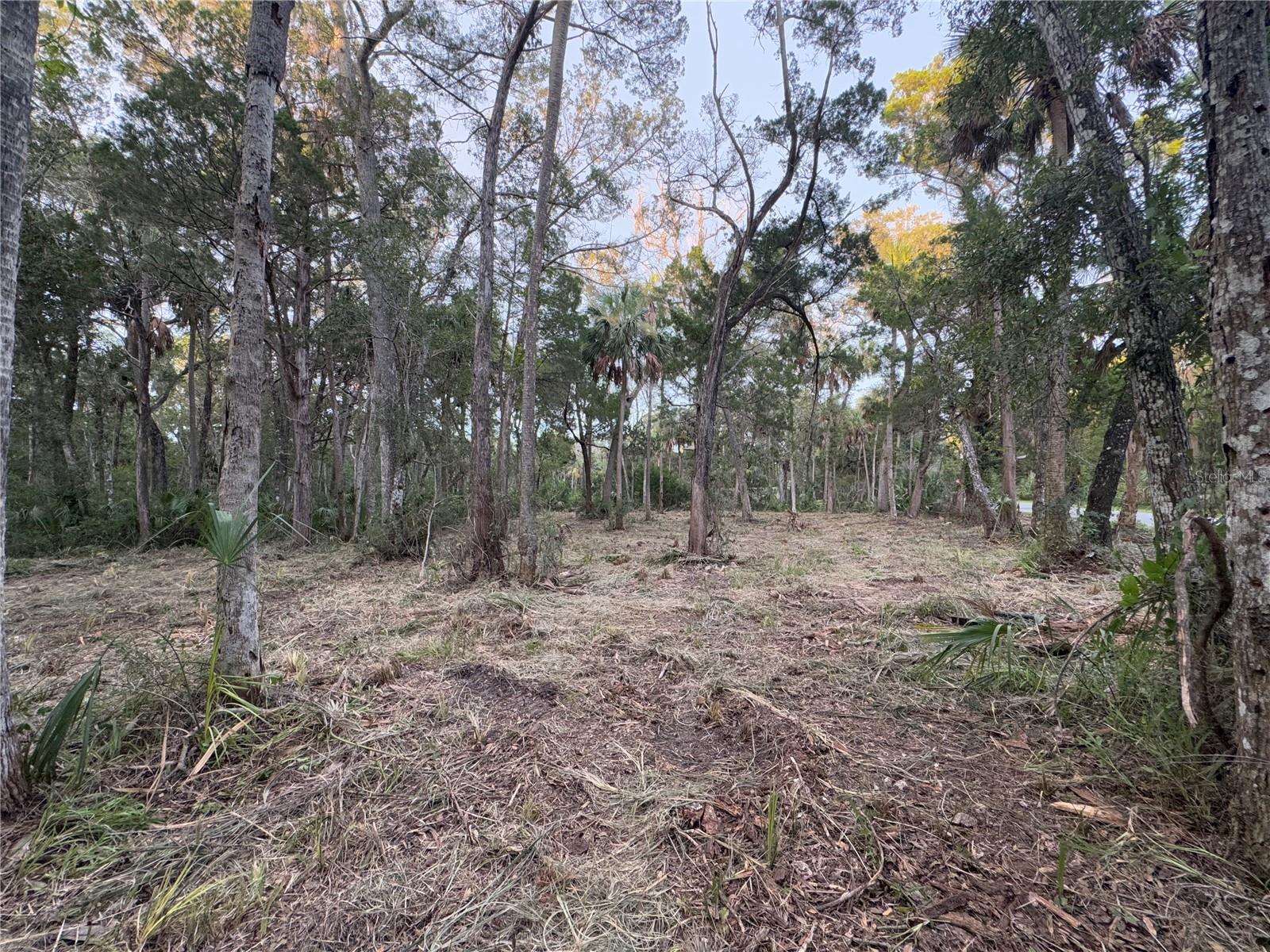 HOMOSASSA COMPANYS SUB 7 - Land