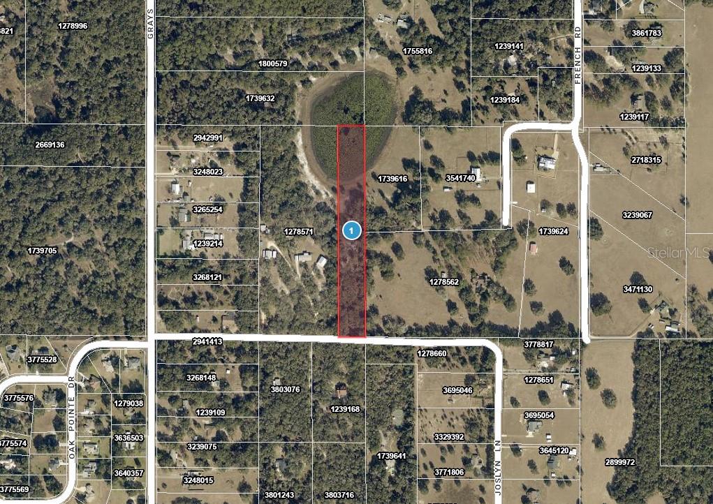 Photo of 4219 Joslyn Lane, Lady Lake, FL 32159 (MLS # OM734710)