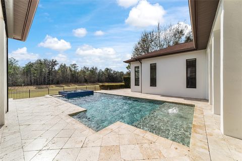 Tiny photo for 1020 SE 46th Street, Ocala, FL 34480 (MLS # OM719471)