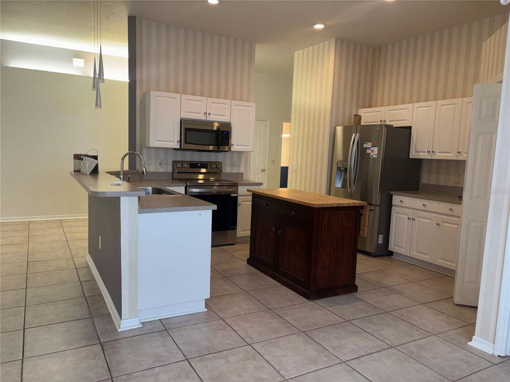 Photo of 10132 Heather Sound Drive, Tampa, FL 33647 (MLS # TB8501706)