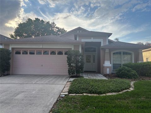 Photo of 10132 Heather Sound Drive, Tampa, FL 33647 (MLS # TB8501706)