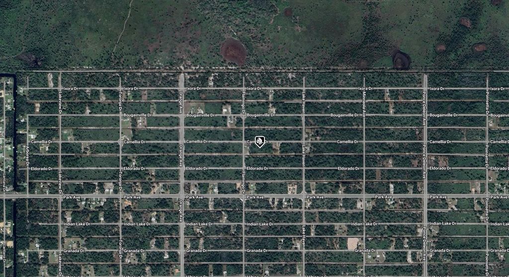 Photo of 619 Camellia Drive, Indian Lake Estates, FL 33855 (MLS # A4669814)