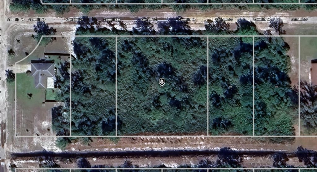 Photo of 619 Camellia Drive, Indian Lake Estates, FL 33855 (MLS # A4669814)