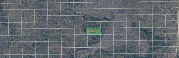 DILL RD, ORLANDO, FL 32820 - Image 4feba2f8b996942f15a3b8d818f8a905/4114168071