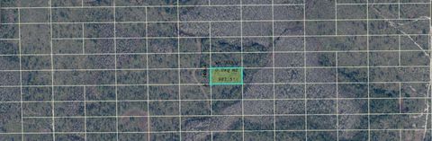 Photo of Dill Road, Orlando, FL 32820 (MLS # O6416911)