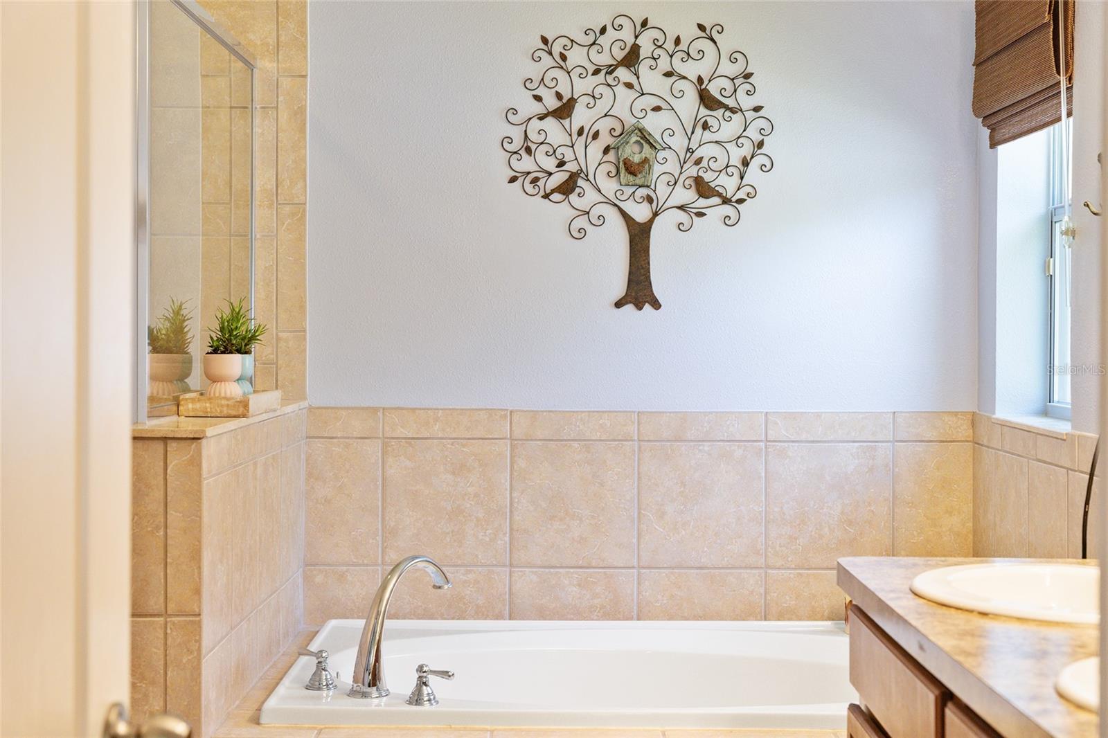 STONEYBROOK HILLS - Residential