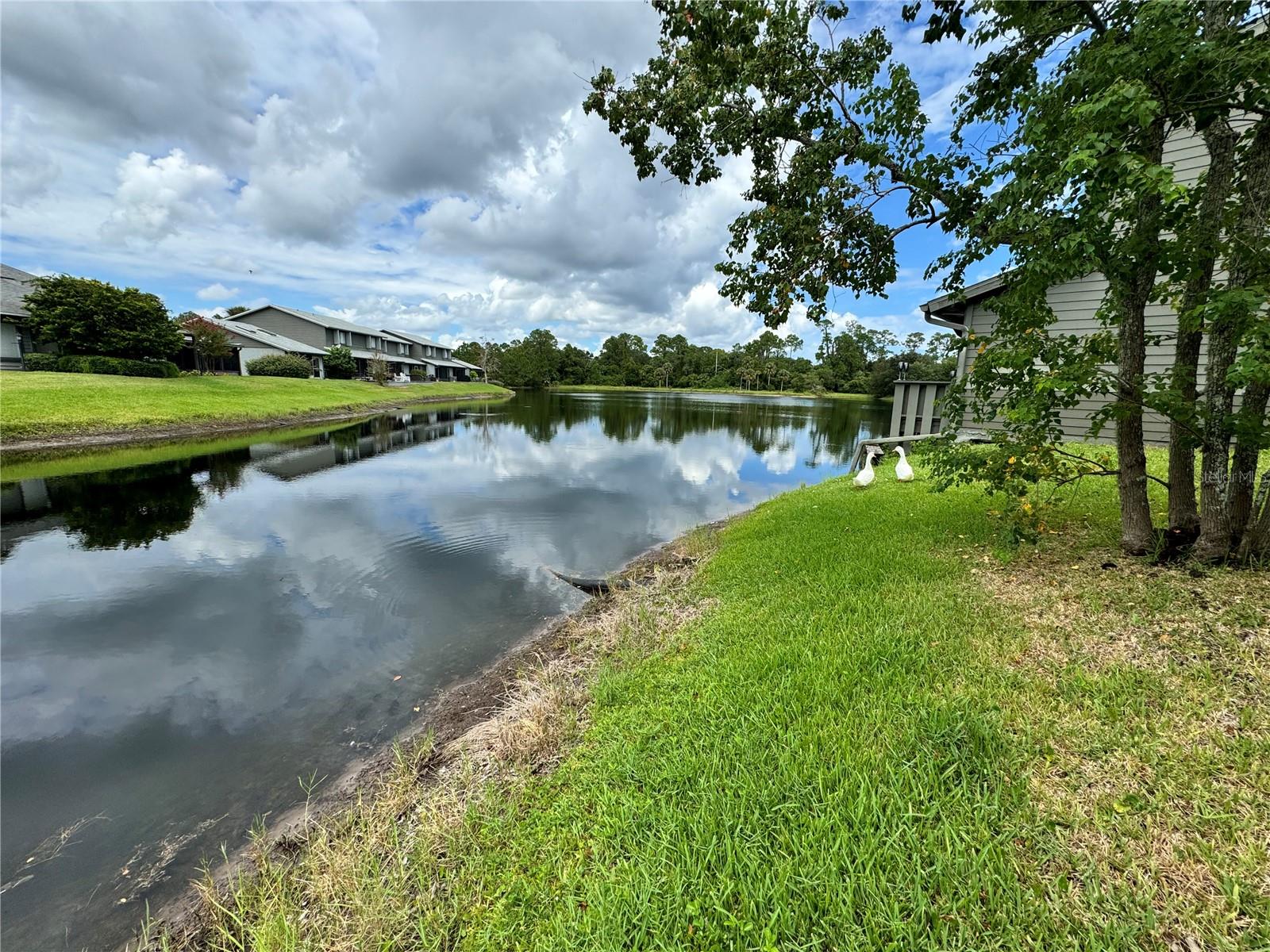 200 LEMON TREE LANE A