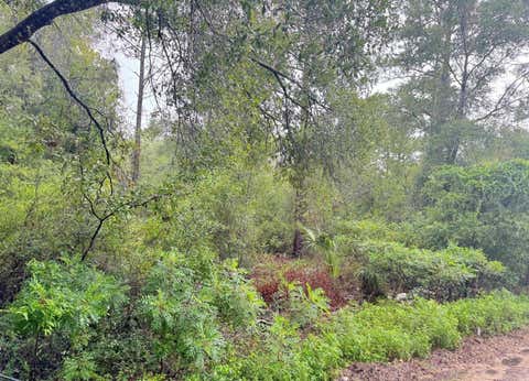 Tiny photo for 0 NE 85th Street, Bronson, FL 32621 (MLS # S5154720)