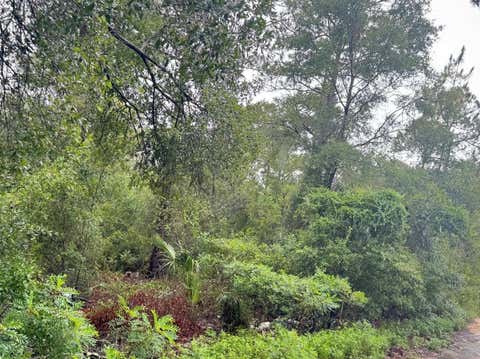 Photo of 0 NE 85th Street, Bronson, FL 32621 (MLS # S5154720)
