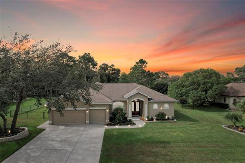 A home in SPRING HILL