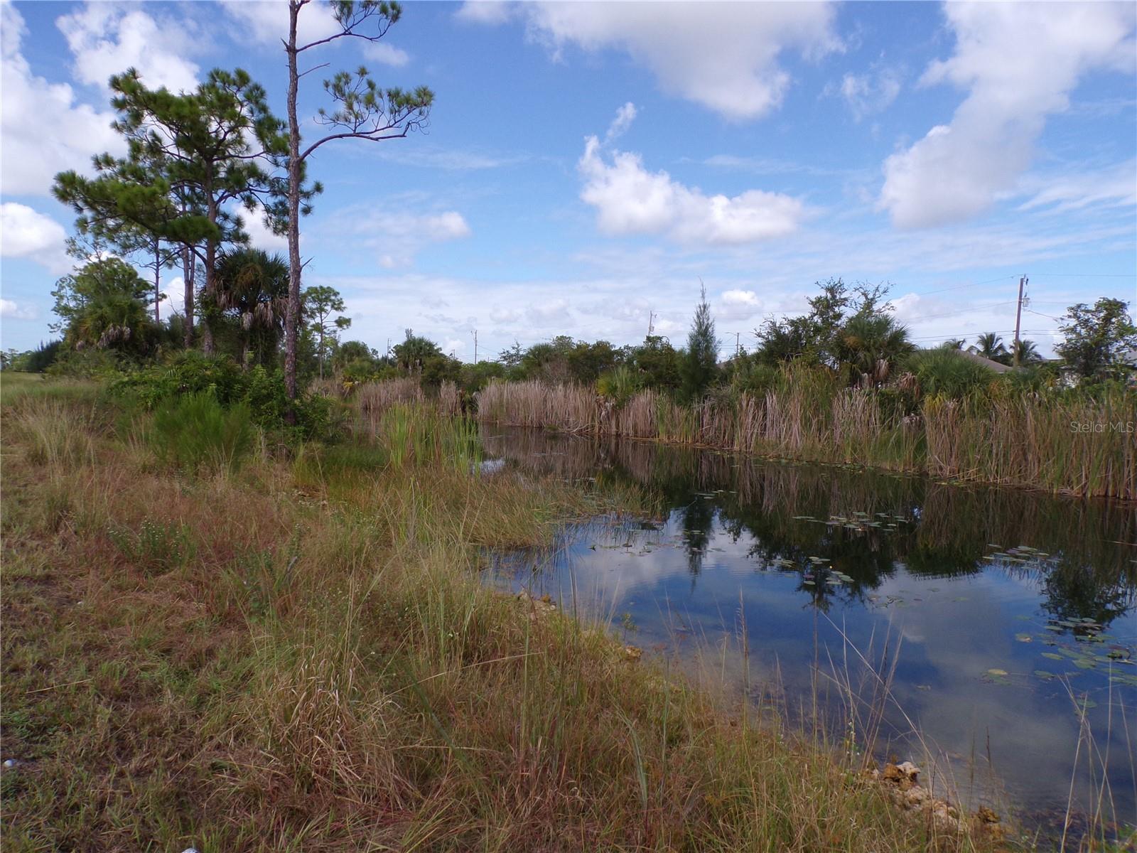 CAPE CORAL - Land
