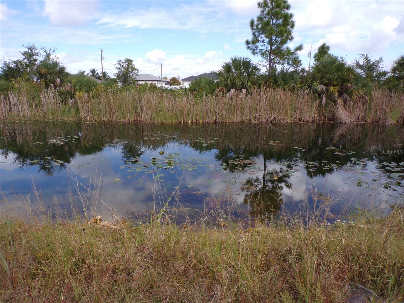 CAPE CORAL - Land