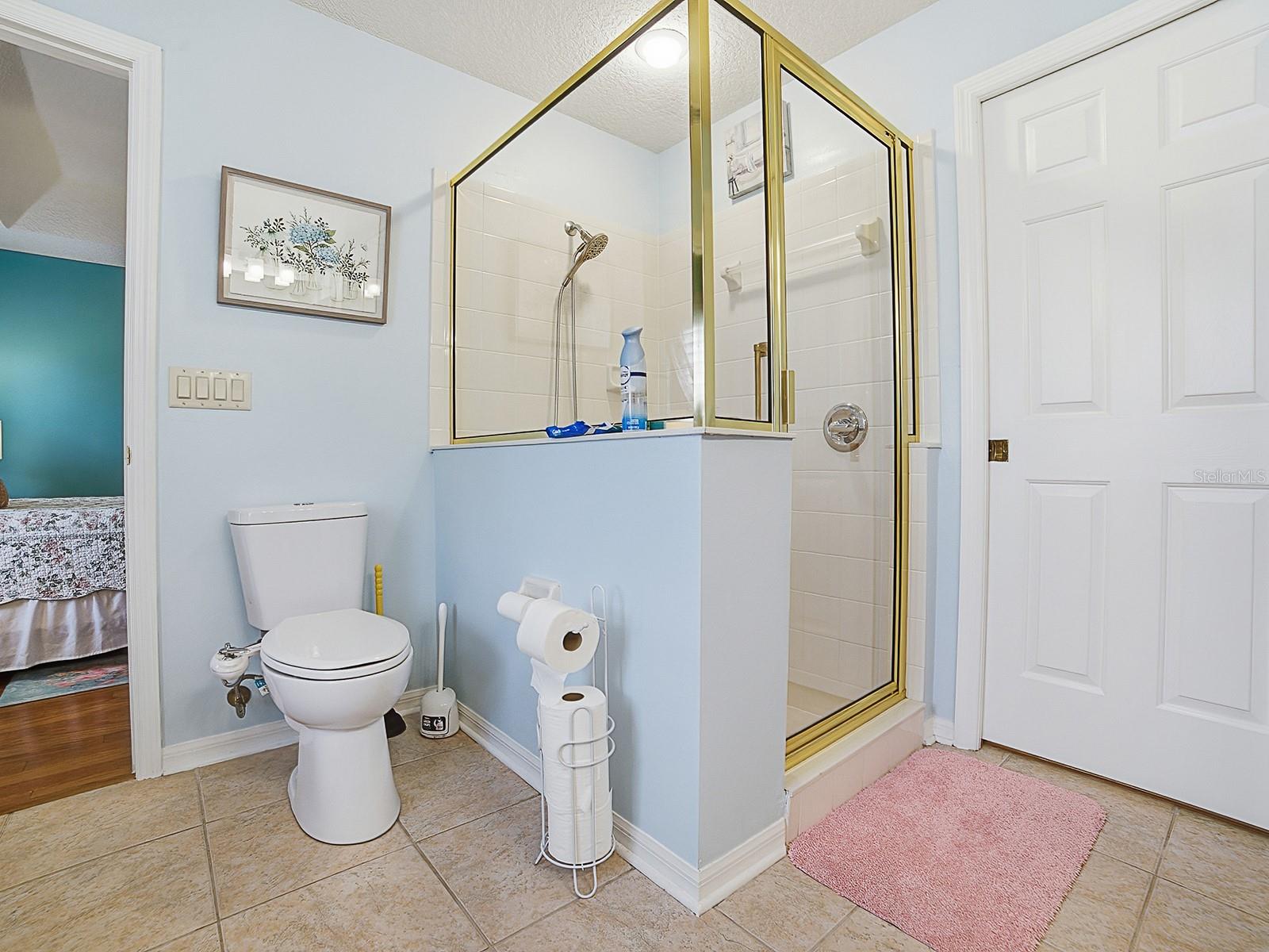 PLANTATION AT LEESBURG BELLE TERRE VILLAGE L - Residential