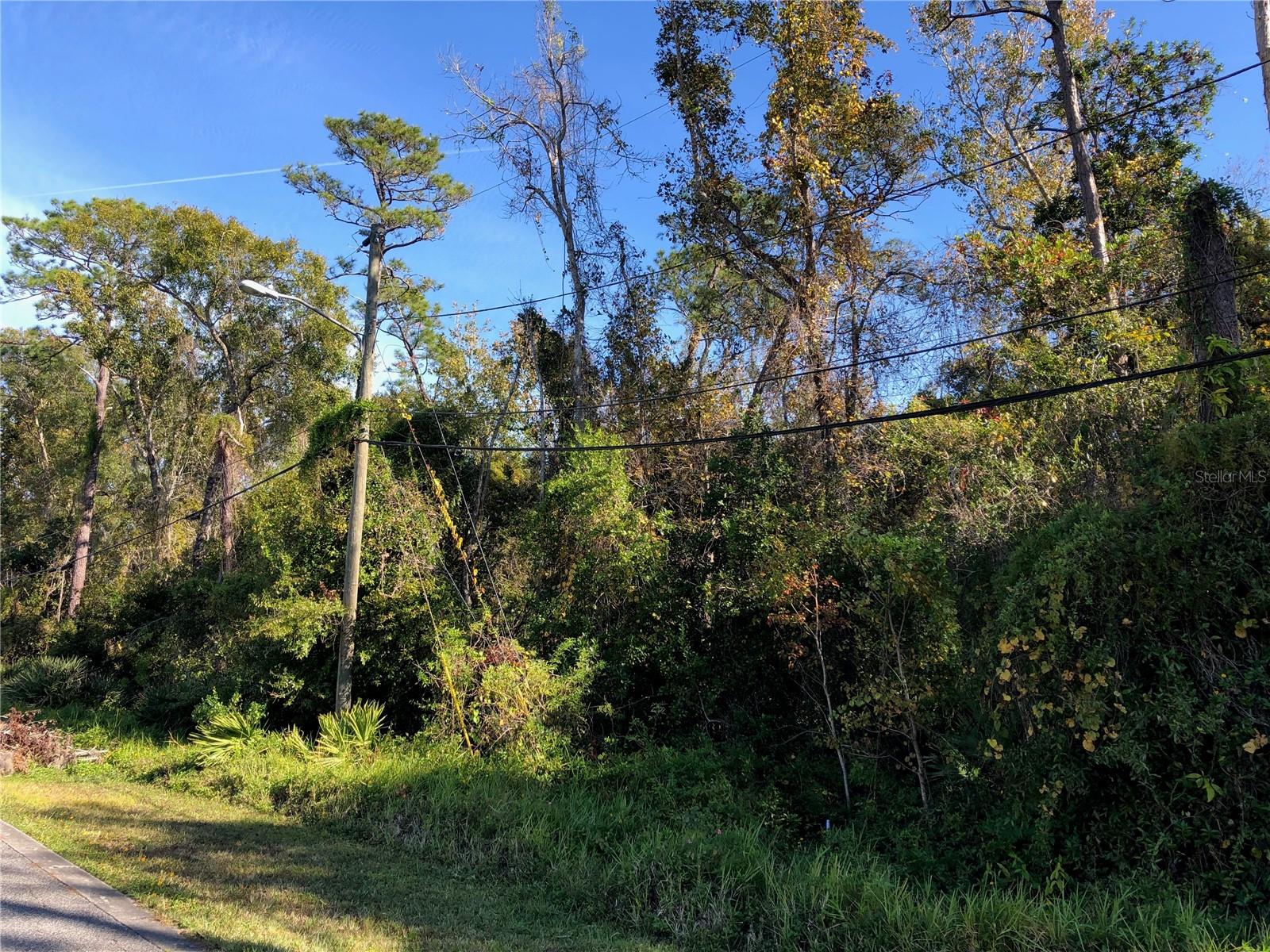 Excellent location for this almost 3/4 acre residential lot in an established residential neighborhood. Zoned for only single family homes. No HOA or CDD. Close to UCF, shopping,