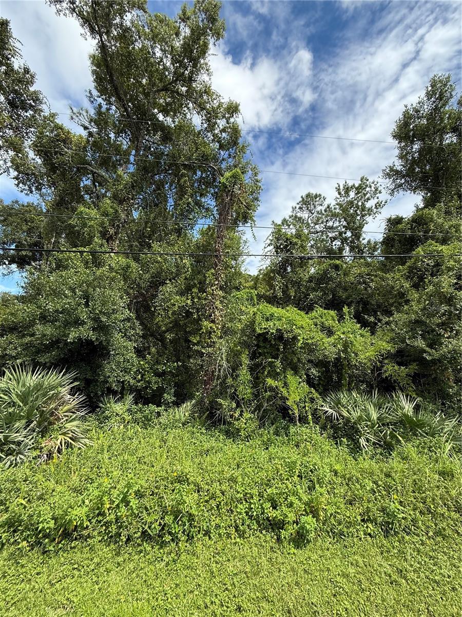 KNOLLWOOD PARK - Land