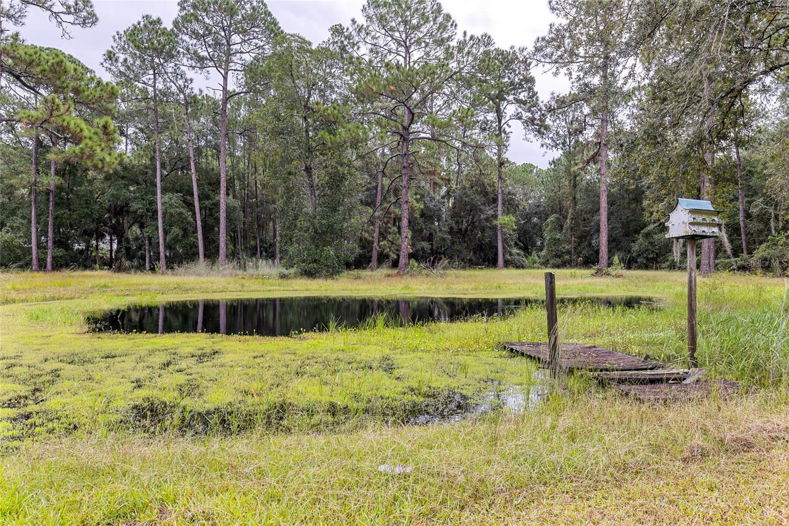 SEMINOLE ESTATES UNIT 2 - Residential