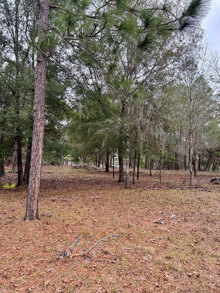 HOLIDAY ACRES UNIT 03 - Residential