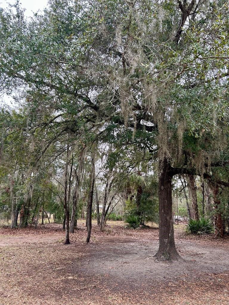 HOLIDAY ACRES UNIT 03 - Residential