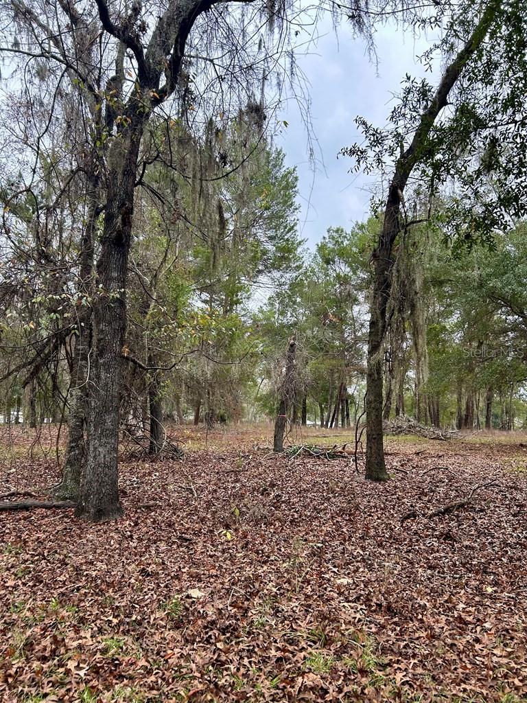 HOLIDAY ACRES UNIT 03 - Residential