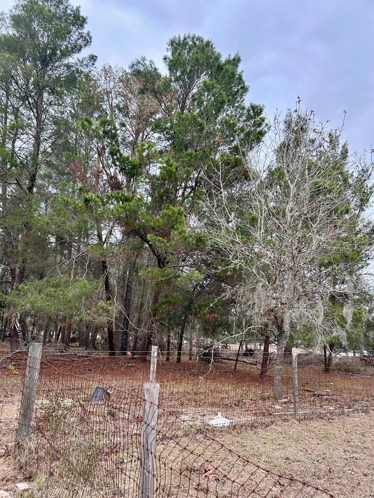 HOLIDAY ACRES UNIT 03 - Residential