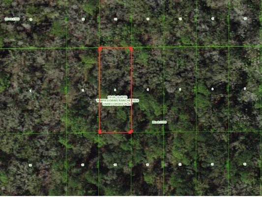 WESLEY CHAPEL BLVD, ZEPHYRHILLS, FL 33544 - Image 4ffbce15bb1e9ae5e1fa84474317c2c4/122977486