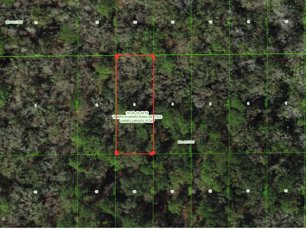 Photo of Unassigned, Wesley Chapel, FL 33544 (MLS # TB8486681)