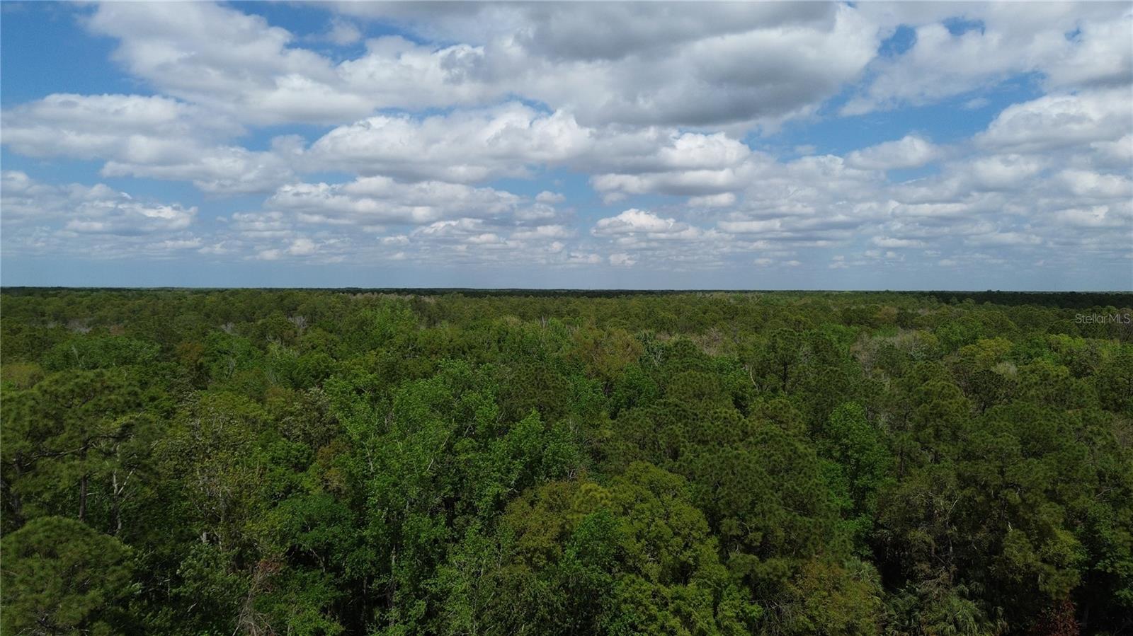 TAMPA DOWNS RANCHETTES UNREC - Land