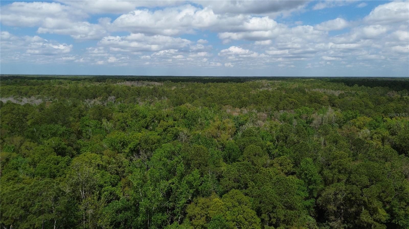 TAMPA DOWNS RANCHETTES UNREC - Land