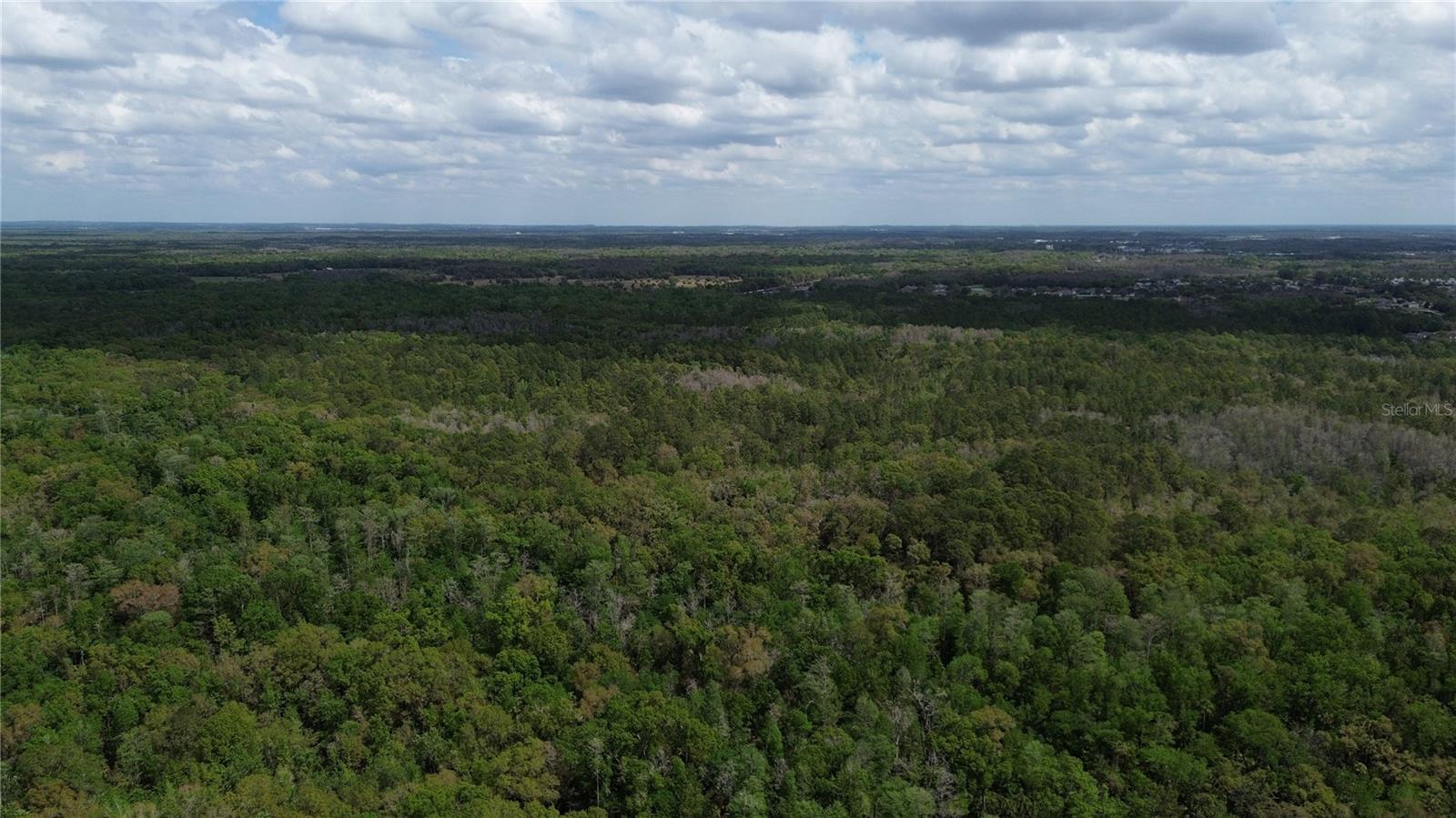 TAMPA DOWNS RANCHETTES UNREC - Land