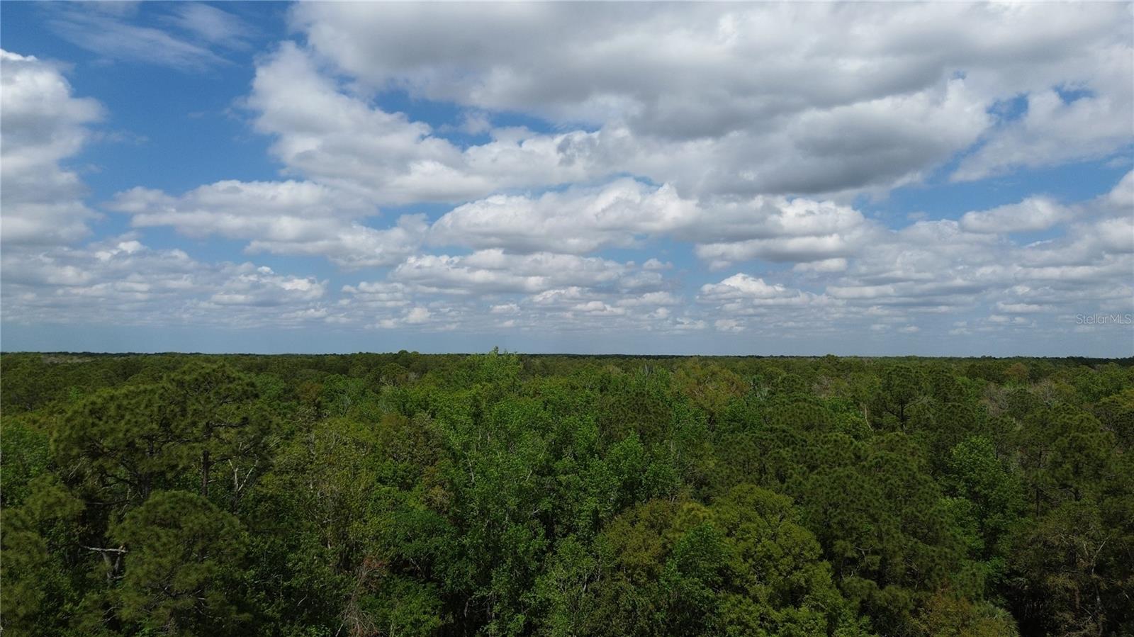 TAMPA DOWNS RANCHETTES UNREC - Land