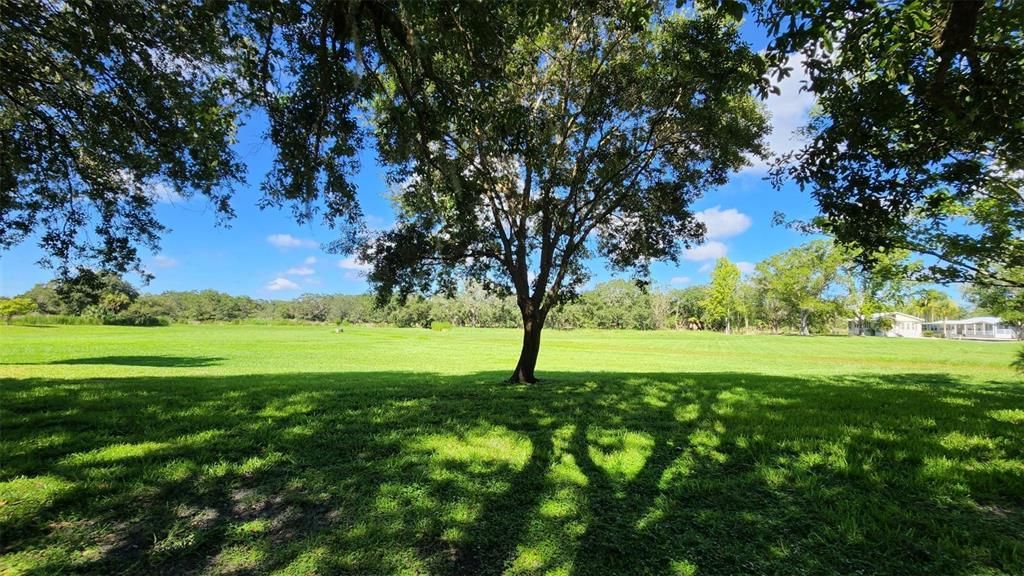 Photo of 163 HORSESHOE BEND, LAKE WALES, FL 33853 (MLS # U8169789)