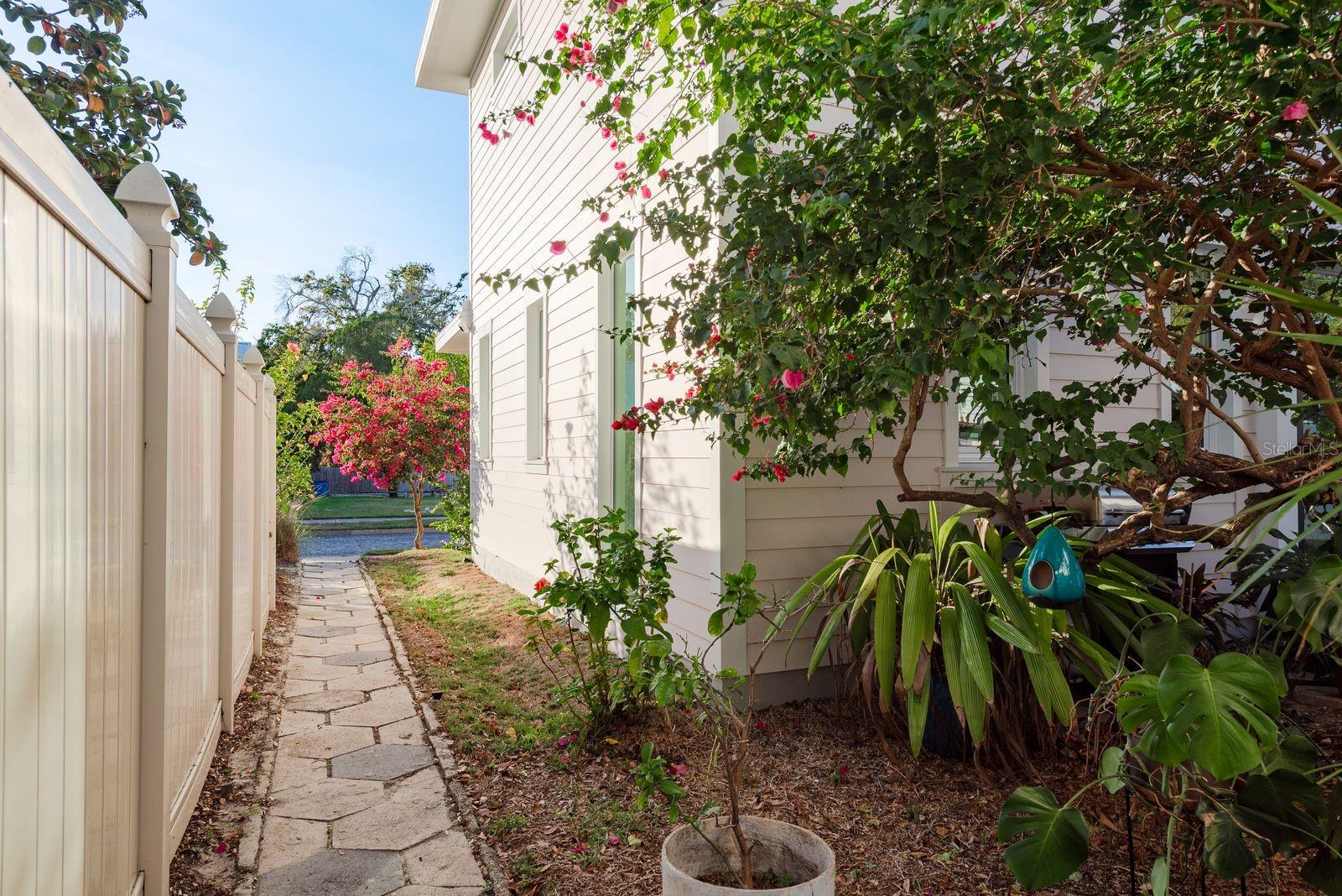 AVOCADO SUB - Residential