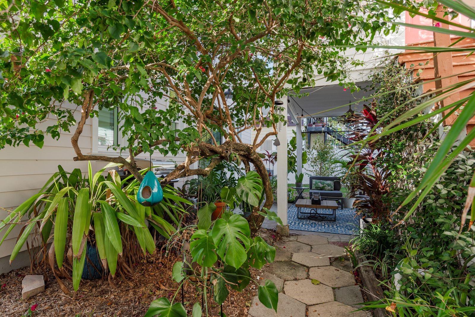 AVOCADO SUB - Residential